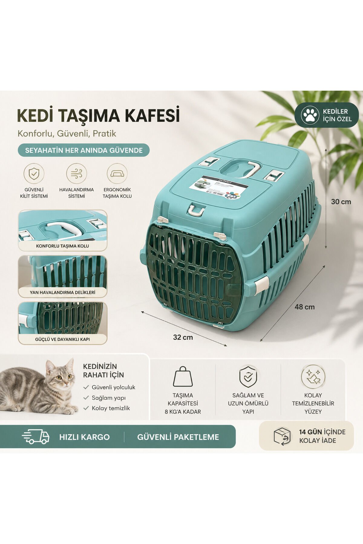 Kedi House/Ev